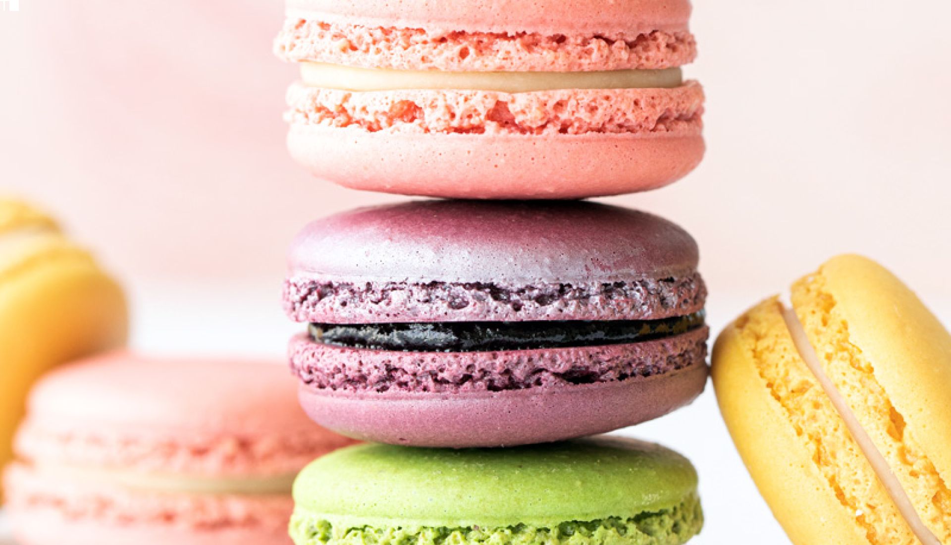 fabrication de macarons parisiens avec   Patrick Plasse, chef de cuisine