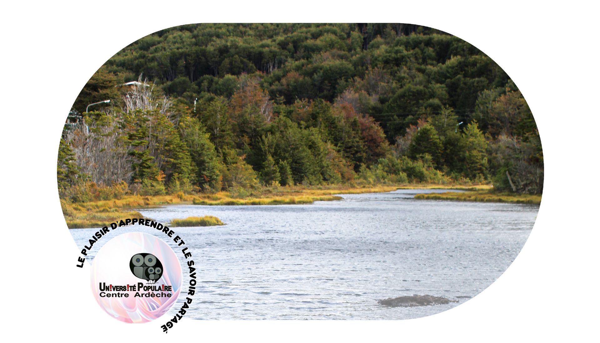 La faune et la flore des tourbières du lac de Devesset