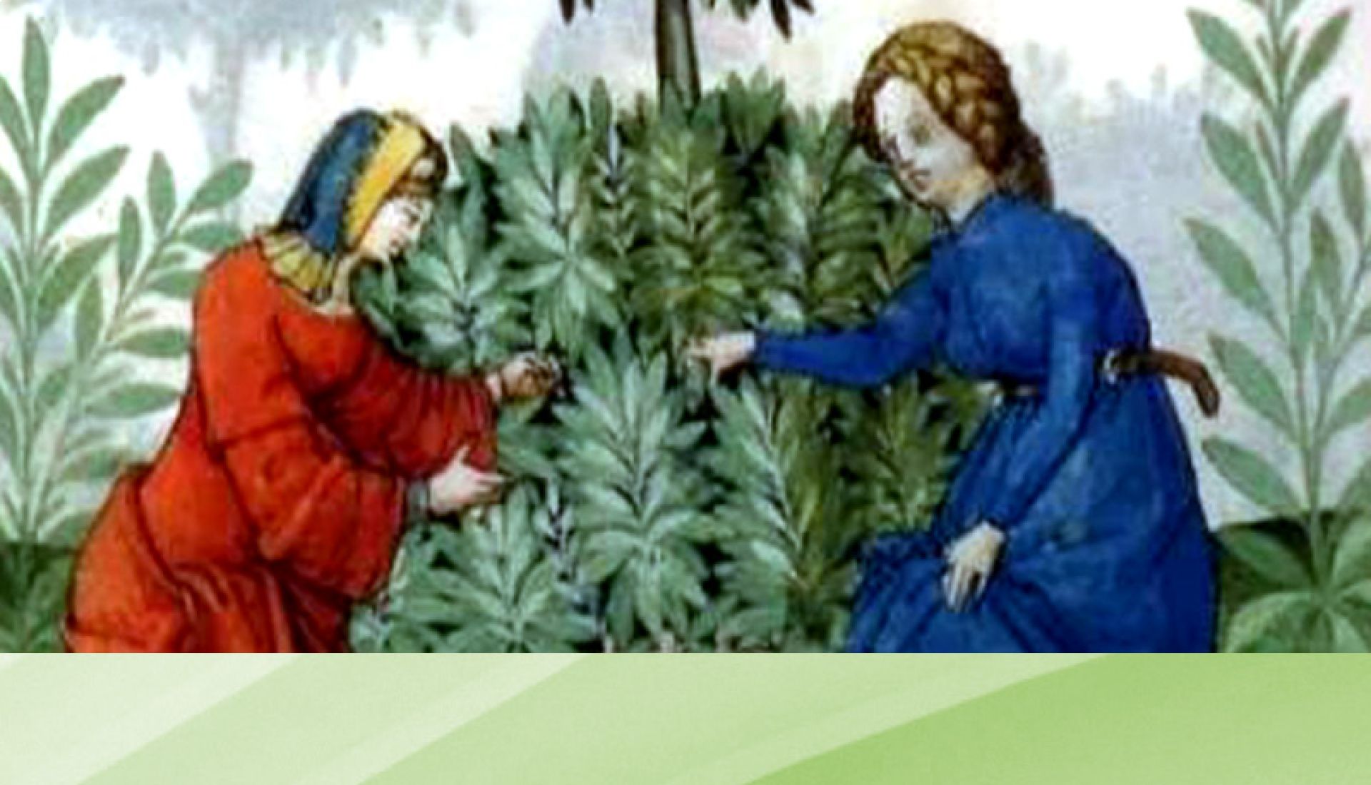 Conférence — Sorcières, plantes et savoirs oubliés