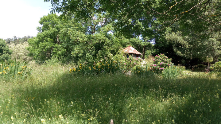 Un temps pour la nature